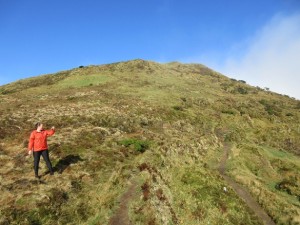 Pico da Vara