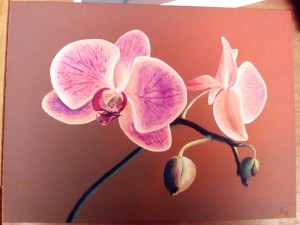 Orchidej akryl