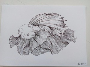 7. lekce perokresba