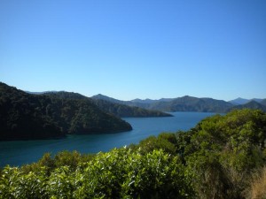 picton