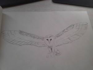 Sova pálená