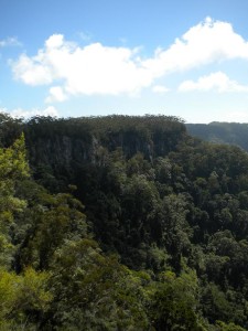 Springbrook