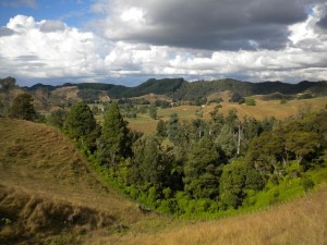 waitomo-caves-nature