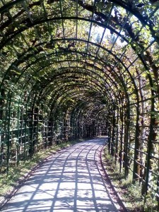 Cesta v zahradě zámku Linderhof