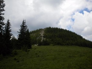 Nevypadá velce, ale je obrovský.